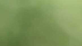 Fondo fiduciario del Seguro Social