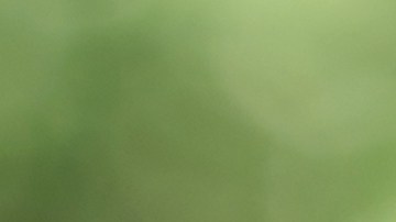 Fondo fiduciario del Seguro Social