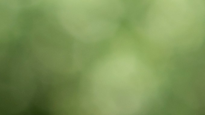 Fondo fiduciario del Seguro Social