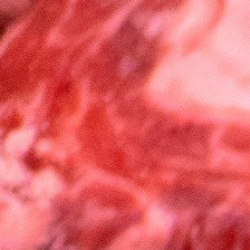 Carne de res