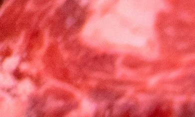 Carne de res