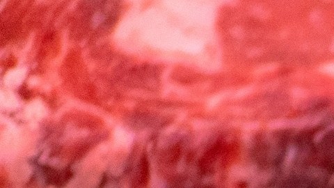 Carne de res