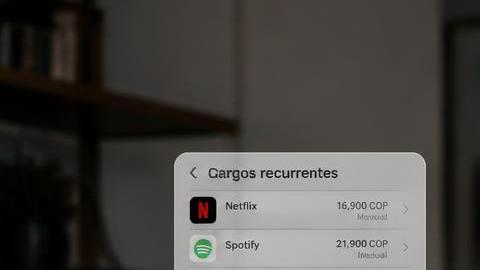 Persona revisando su estado de cuenta