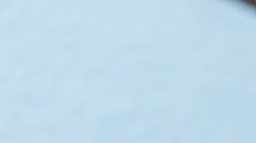Cheque de nómina